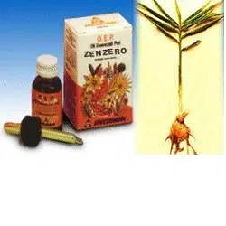 ZENZERO OLIO ESSENZIALE PURO 10 ML ZENZERO OLIO ESSENZIALE PURO 10 ML
