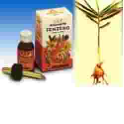ZENZERO OLIO ESSENZIALE PURO 10 ML