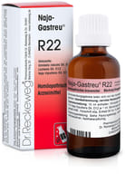 RECKEWEG R22 GOCCE 22 ML