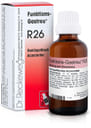 RECKEWEG R26 GOCCE 22 ML