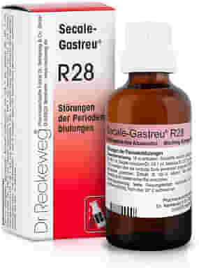 RECKEWEG R28 GOCCE 22 ML