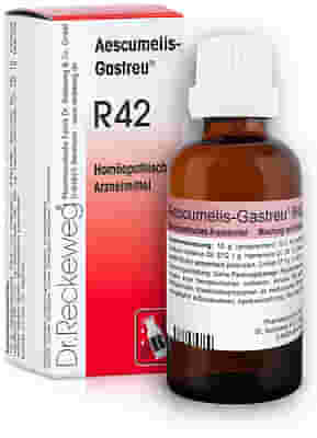 RECKEWEG R42 GOCCE 22 ML