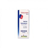 AESCULUS HIPPOCASTANUM TINTURA MADRE 60 ML