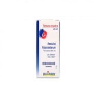 AESCULUS HIPPOCASTANUM TINTURA MADRE 60 ML