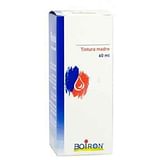 SOLIDAGO VIRGA AUREA TINTURA MADRE 60 ML