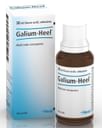 HEEL GALIUM GOCCE 30 ML