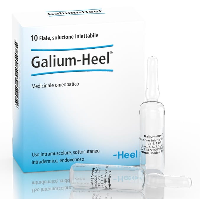 GALIUM 10 FIALE DA 1,1 ML L'UNA