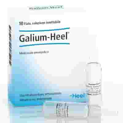 GALIUM 10 FIALE DA 1,1 ML L'UNA