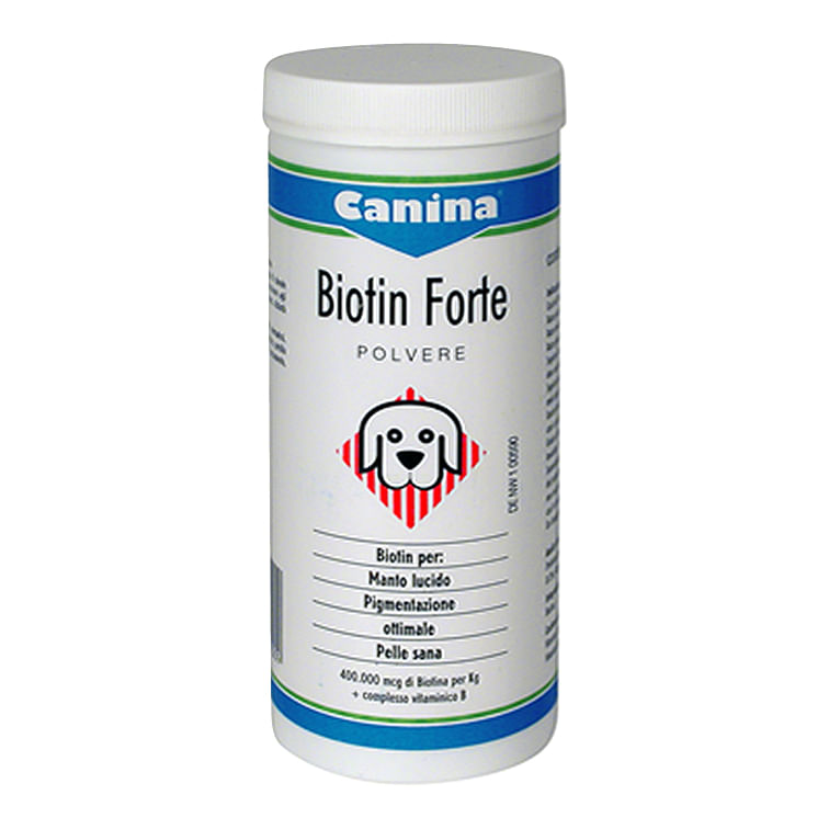 Biotin Forte Polvere 200 G