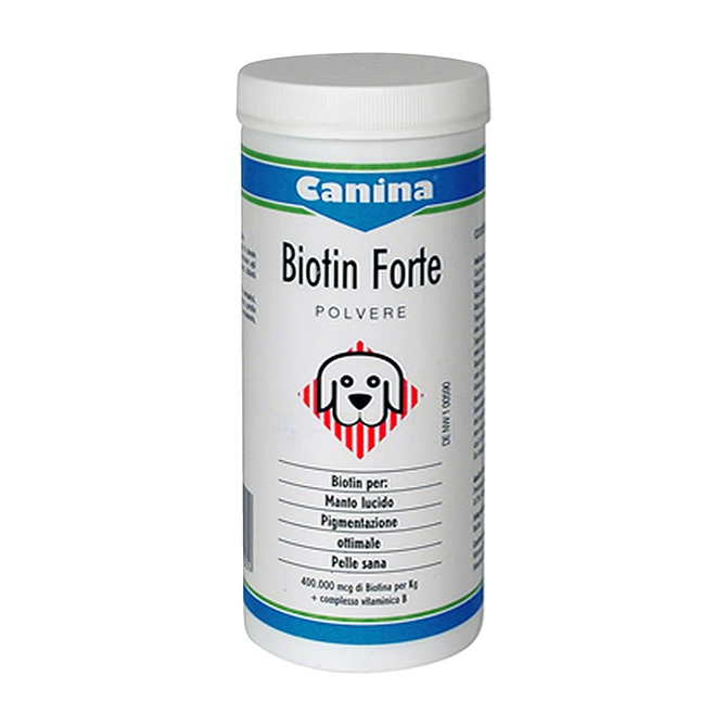 Biotin Forte Polvere 200 G