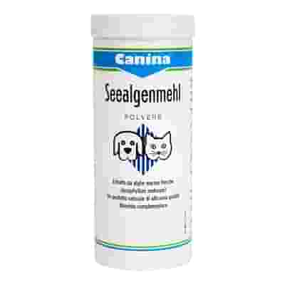 SEEALGEN POLVERE 250G
