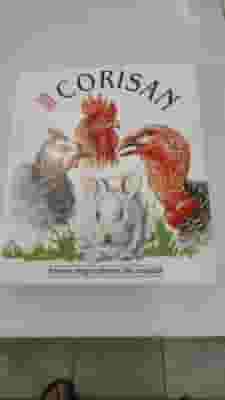 Corisan Animal Farm, mangime complementare per volatili 100g