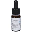 QUINTESSENZA QE3 BERGAMOTTO