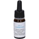 QUINTESSENZA QE6 CIPRESSO 10M