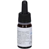 QUINTESSENZA QE14 ORIGANO 10ML