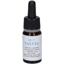 QUINTESSENZA QE17 SALVIA 10ML