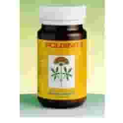 Integratore Polgins 2 al Ginseng in polvere, 100g
