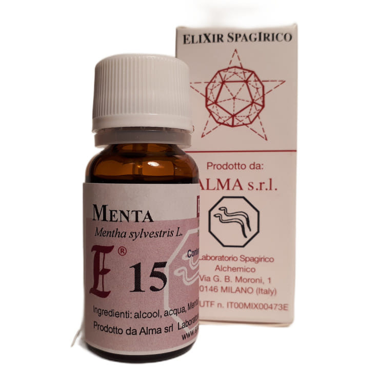 ELIXIR SPG E15 MENTA RUST 10ML