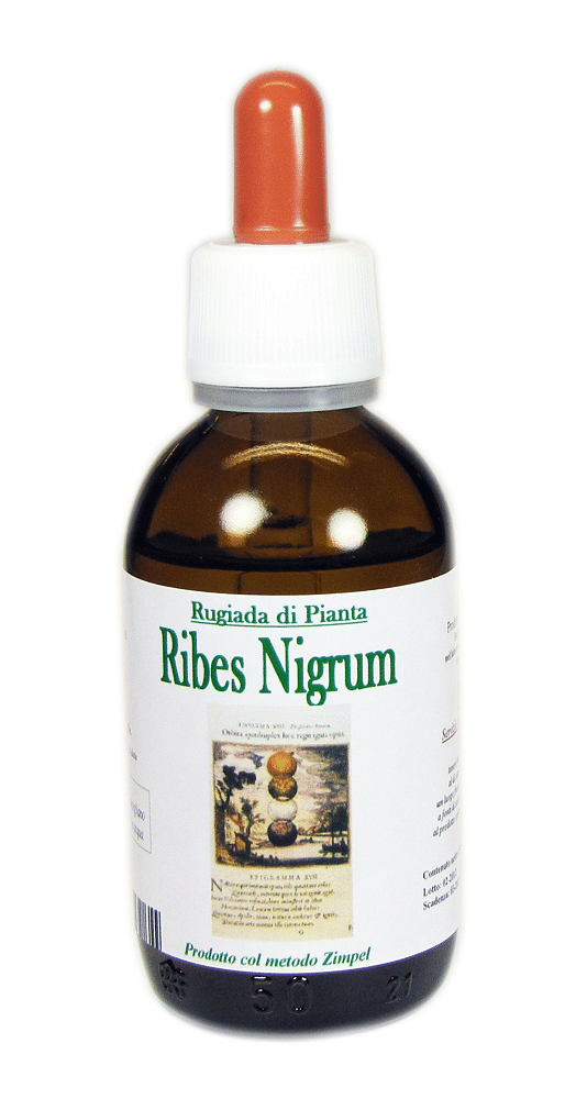 Ribes Nero Astrum Rugiada 50 Ml