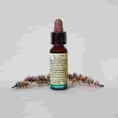 FIORI DI BACH 1 AGRIMONY 10 ML DI LEO