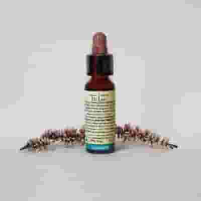 Essenza Floreale Agrimony Di Leo, Fiori di Bach 10ml