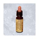 FIORI DI BACH 2 ASPEN 10 ML DI LEO