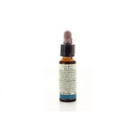 FIORI DI BACH 15 HOLLY 10 ML DI LEO