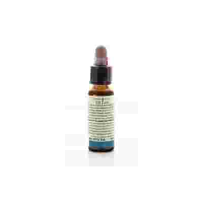FIORI DI BACH 15 HOLLY 10 ML DI LEO