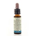 FIORI DI BACH 19 LARCH 10 ML DI LEO