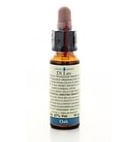 FIORI DI BACH 22 OAK 10 ML DI LEO