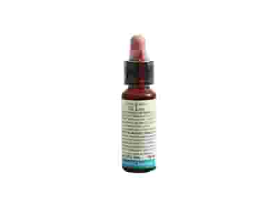 FIORI DI BACH 30 SWEET CHESTNUT 10 ML DI LEO