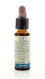 FIORI DI BACH 31 VERVAIN 10 ML DI LEO