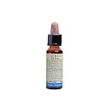 FIORI DI BACH 35 WHITE CHESTNUT 10 ML DI LEO