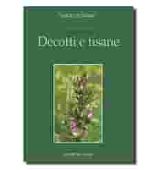 DECOTTI E TISANE