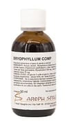 BRYOPHYLLUM COMP SOLUZIONE IDROALCOLICA 50 ML
