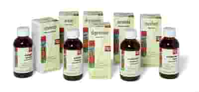 ANGELICA DIGESTIONE ESTRATTO INTEGRALE SINERGICO 60 ML PREPARATO 1