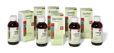SOLIDAGO DRENAGGIO ESTRATTO INTEGRALE SINERGICO 60 ML PREPARATO 12