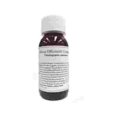 LVS 15N MELISSA OFFICINALIS COMPOSITUM 60 ML