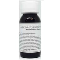 LVS 17S CRATAEGUS OXYACANTHA COMPOSITUM 60 ML
