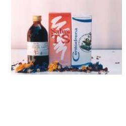 DISBIOS BEV ALCO 100 ML