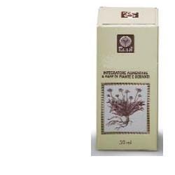 Estratto analcolico Artiglio del Diavolo per le articolazioni 50ml