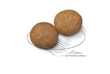 SIZE HEALTH NUTRITION MEDIUM ADULT CROCCHETTE 4 KG