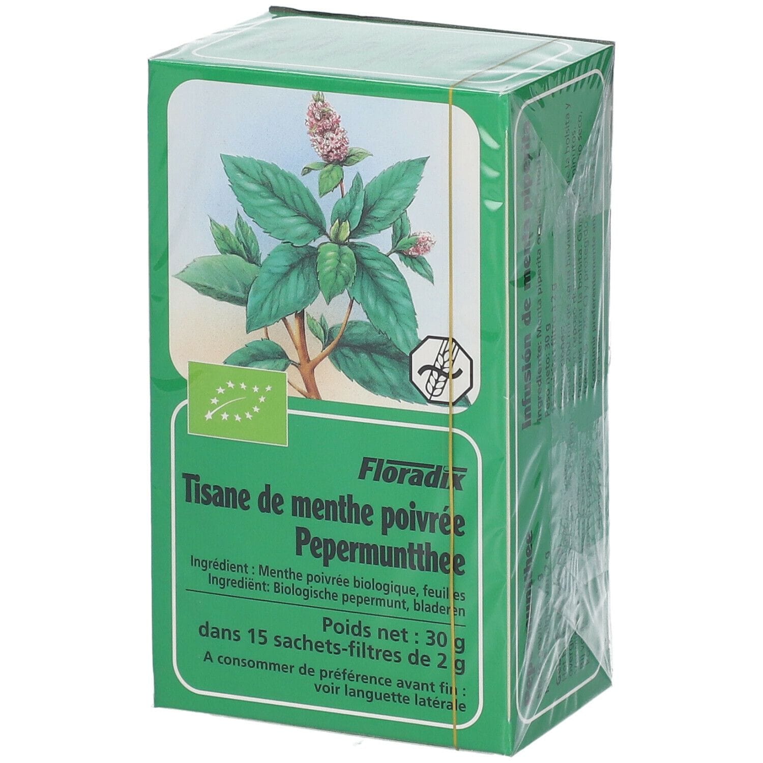 MENTA PIPERITA TIS 15 FILTRI BIO