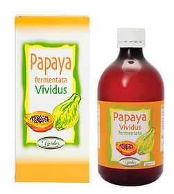 Papaya Fermentata 500 Ml