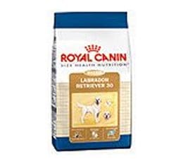 BREED HEALTH NUTRITION LABRADOR RETRIEVER ADULT 3 KG