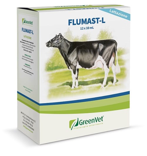 GREENVET FLUMAST-L DERM 12 SIRINGHE DA 10 ML