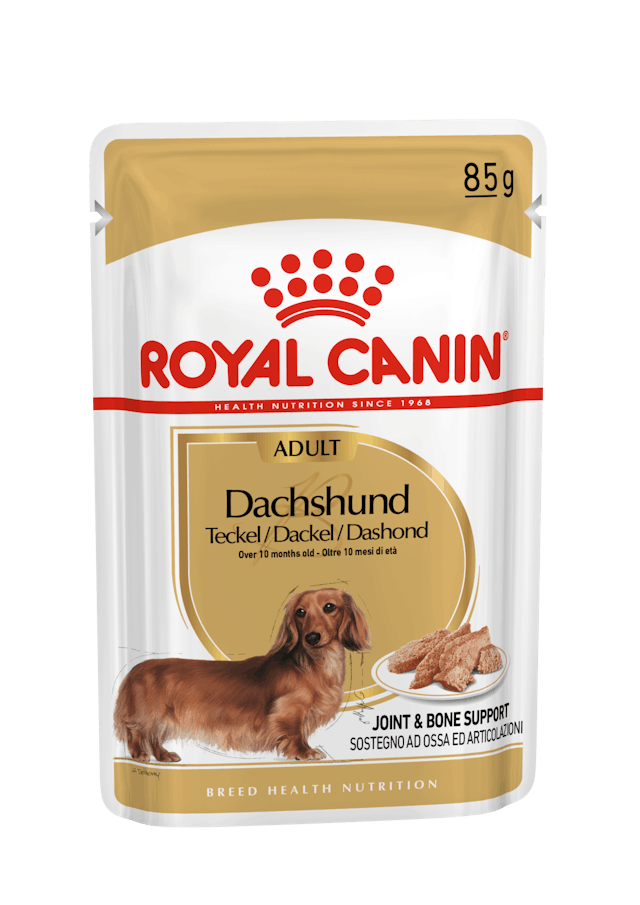 Alimento secco Breed Dachshund Adult per Bassotti, 1,5 kg