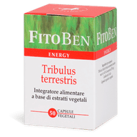 TRIBULUS TERRESTRIS 50 CAPSULE