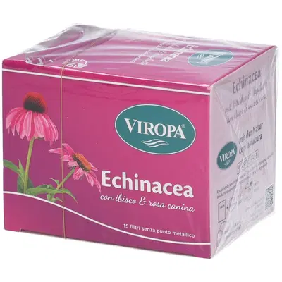 VIROPA ECHINACEA 15 BUSTINE VIROPA ECHINACEA 15 BUSTINE