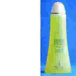 SHAMPOO ANTISEBO 250 ML